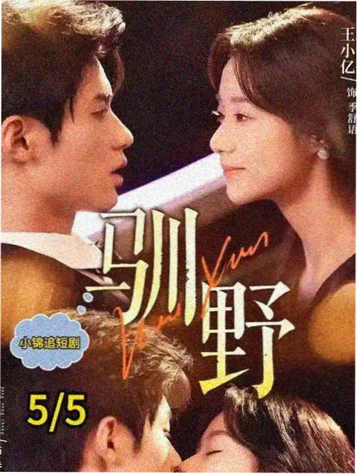 麻花影视电视年代剧归途列车海报